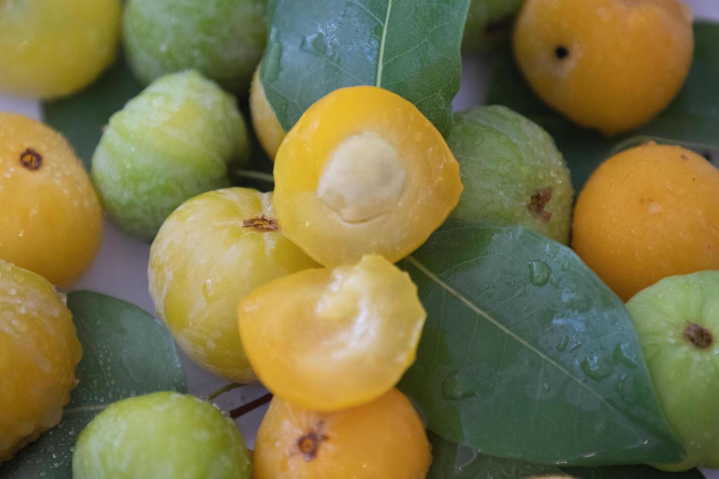 Ripe edible wild fruit from the Brazilian cerrado biome, fruit known as cagaita Stenocalyx dysentericus of the Magnoliopsida class and the Myrtaceae family. photo