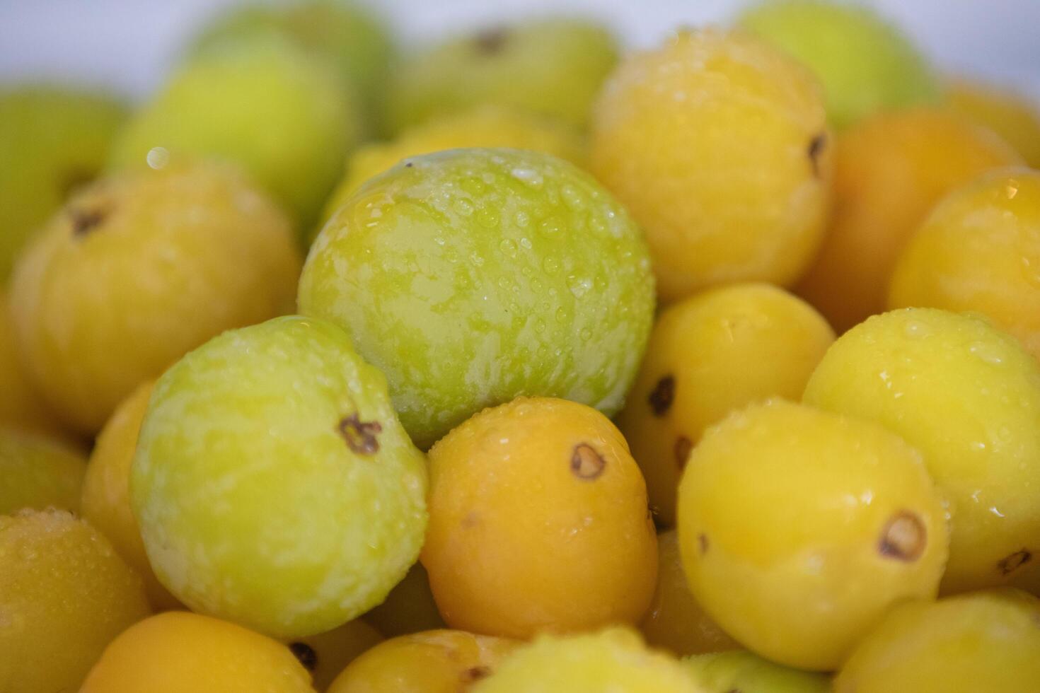 Ripe edible wild fruit from the Brazilian cerrado biome, fruit known as cagaita Stenocalyx dysentericus of the Magnoliopsida class and the Myrtaceae family. photo