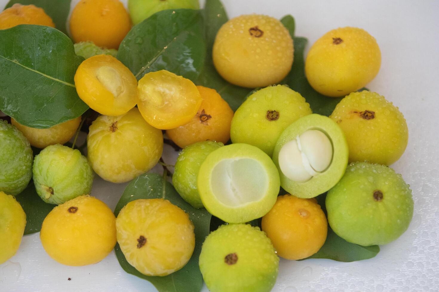 Ripe edible wild fruit from the Brazilian cerrado biome, fruit known as cagaita Stenocalyx dysentericus of the Magnoliopsida class and the Myrtaceae family. photo