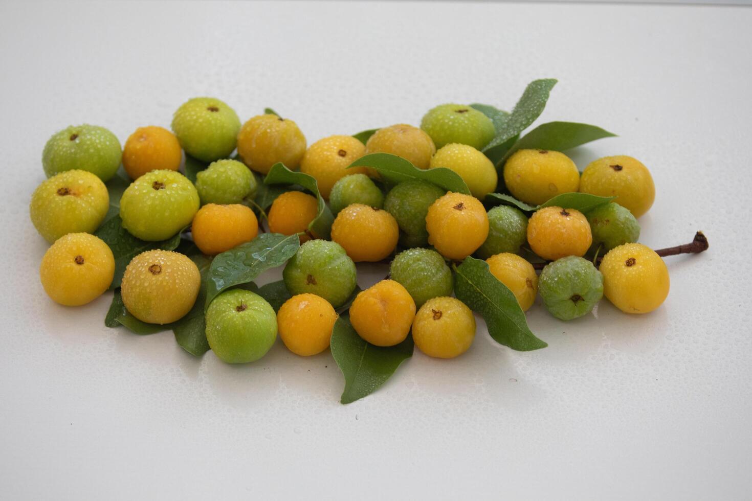 Ripe edible wild fruit from the Brazilian cerrado biome, fruit known as cagaita Stenocalyx dysentericus of the Magnoliopsida class and the Myrtaceae family. photo