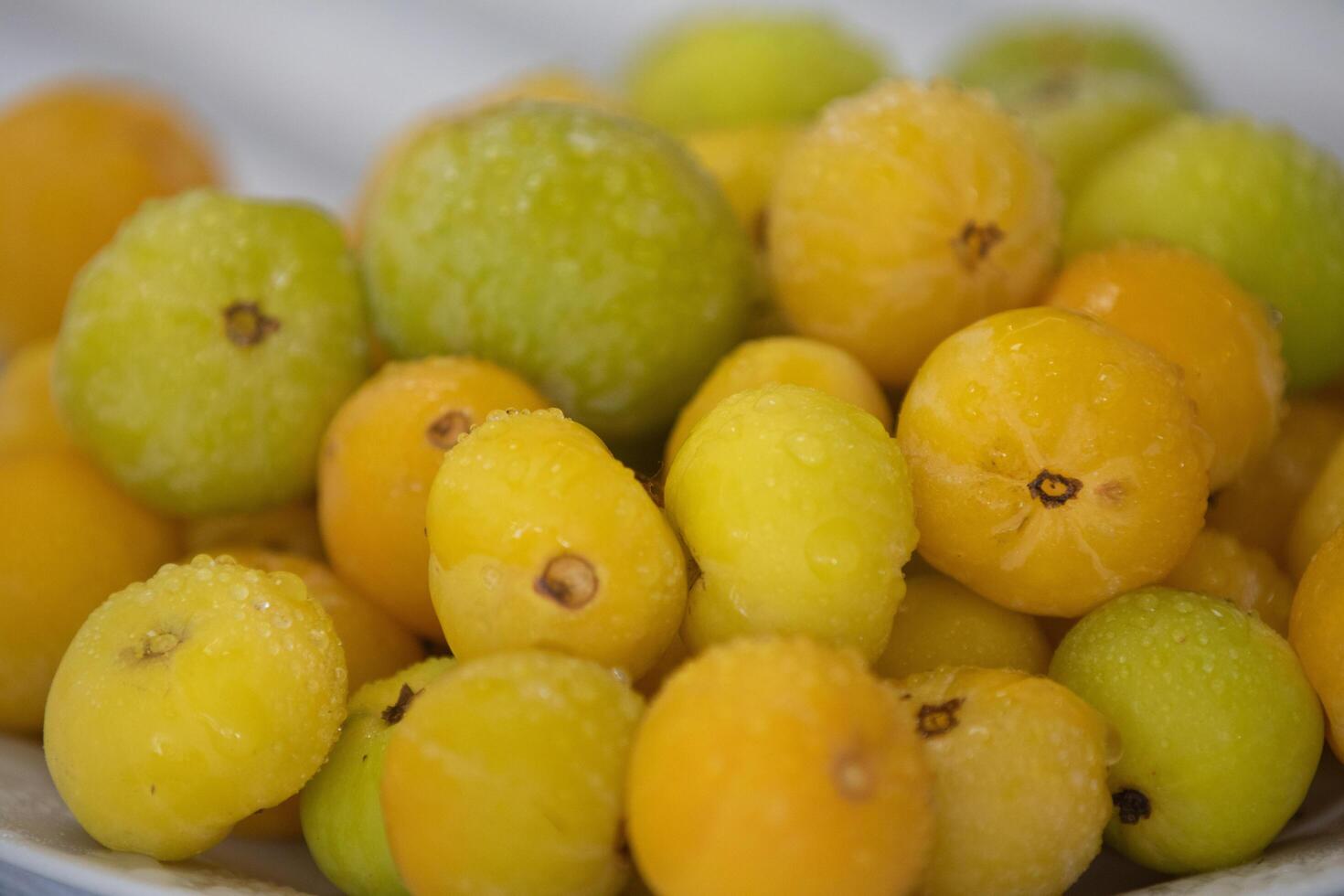 Ripe edible wild fruit from the Brazilian cerrado biome, fruit known as cagaita Stenocalyx dysentericus of the Magnoliopsida class and the Myrtaceae family. photo