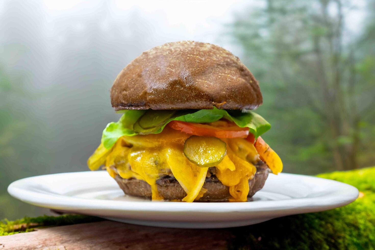 Traditional rustic burger sandwich with cheddar cheese, vegetables and Australian bread in creative photography and cozy village setting photo
