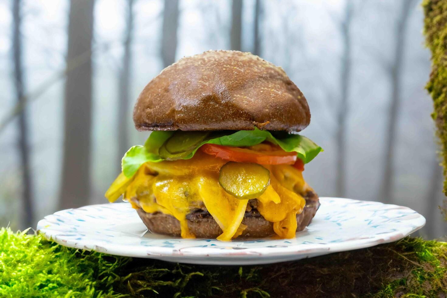 Traditional rustic burger sandwich with cheddar cheese, vegetables and Australian bread in creative photography and cozy village setting photo