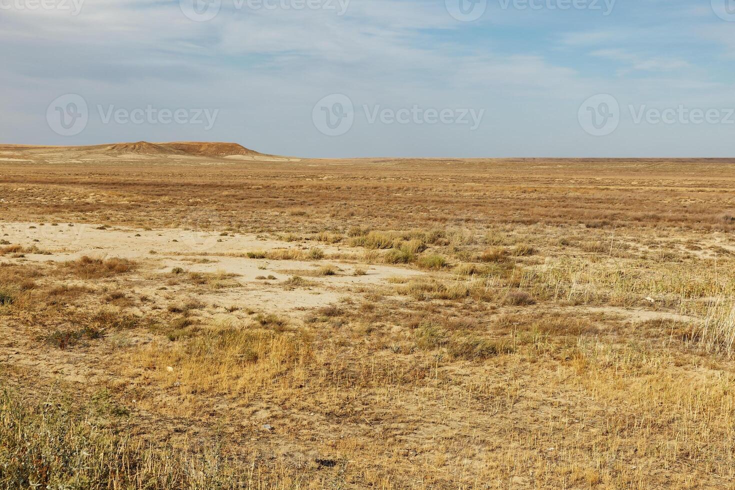 steppe in Kazakhstan photo