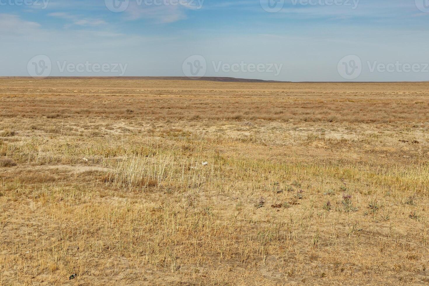 steppe in Kazakhstan photo