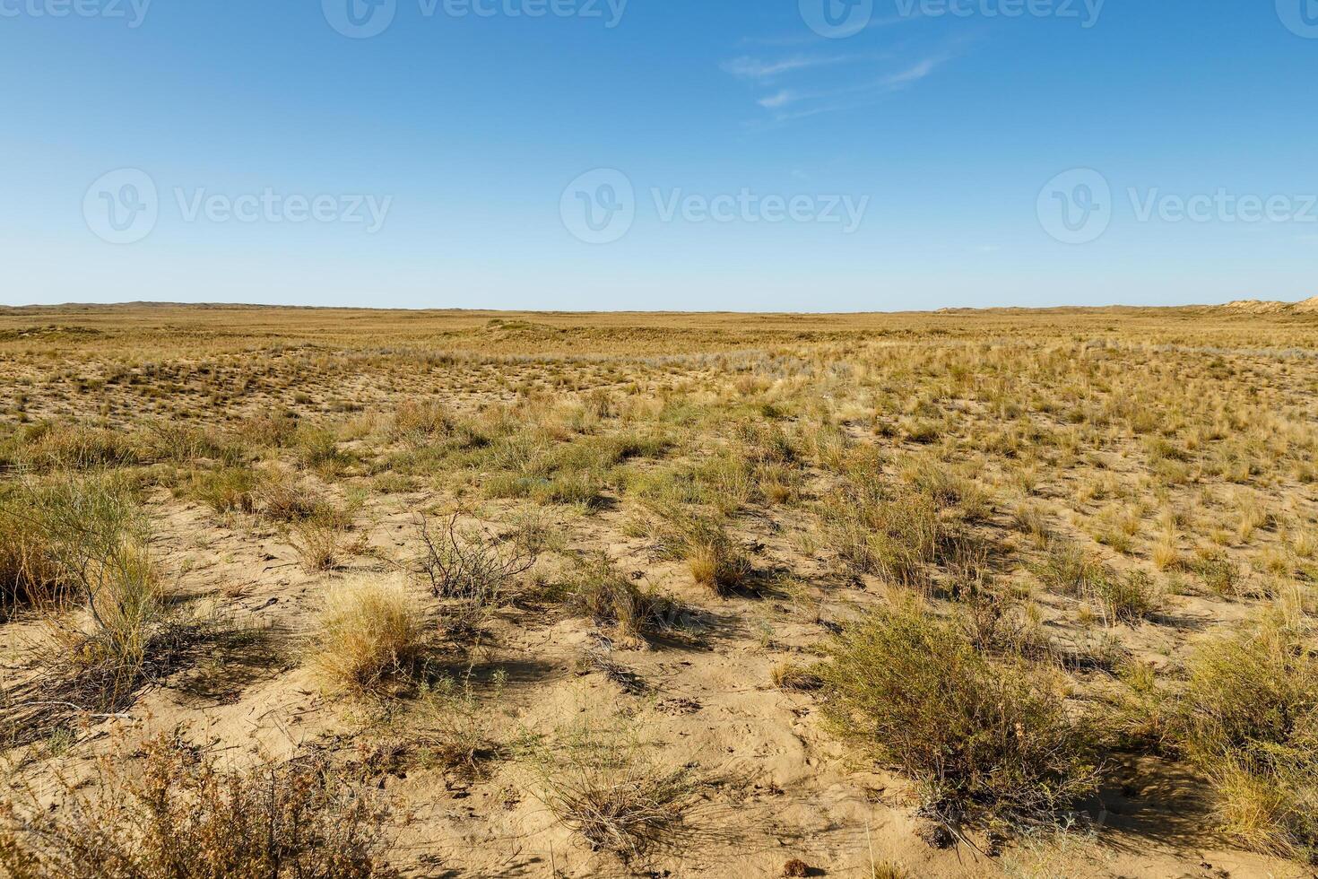 steppe in Kazakhstan photo