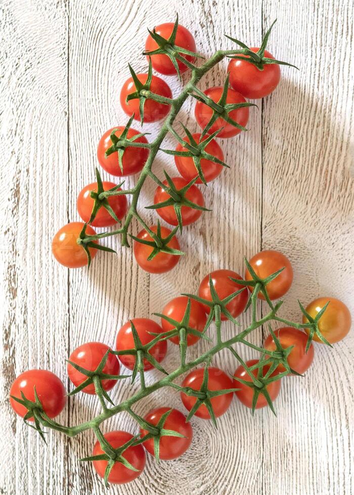 Cherry Tomatoes on the Vine photo