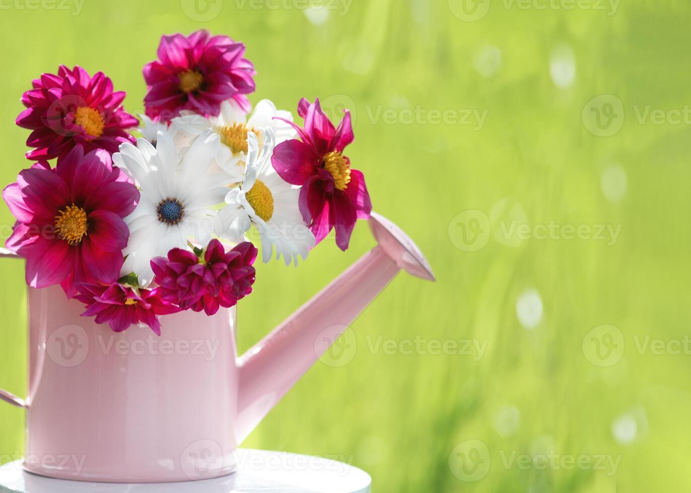 summer garden poster photo