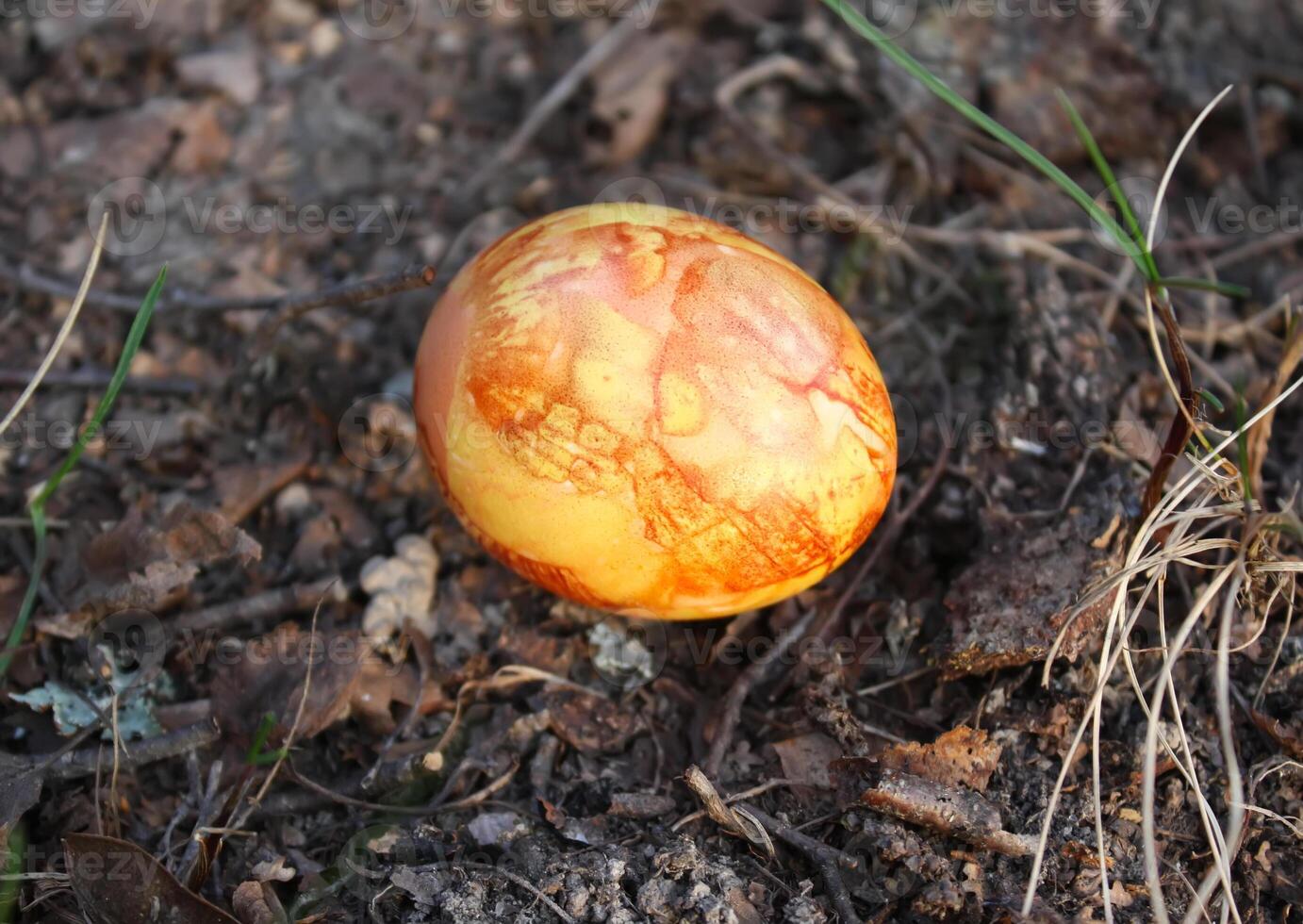 Easter eggs on a moss photo