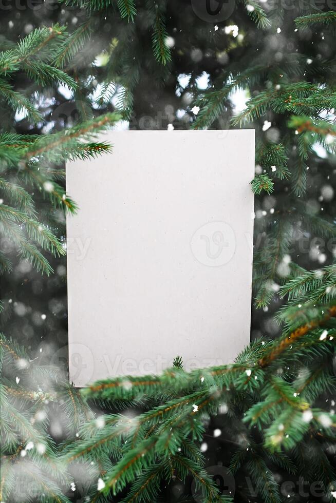 Fir-tree with paper card photo