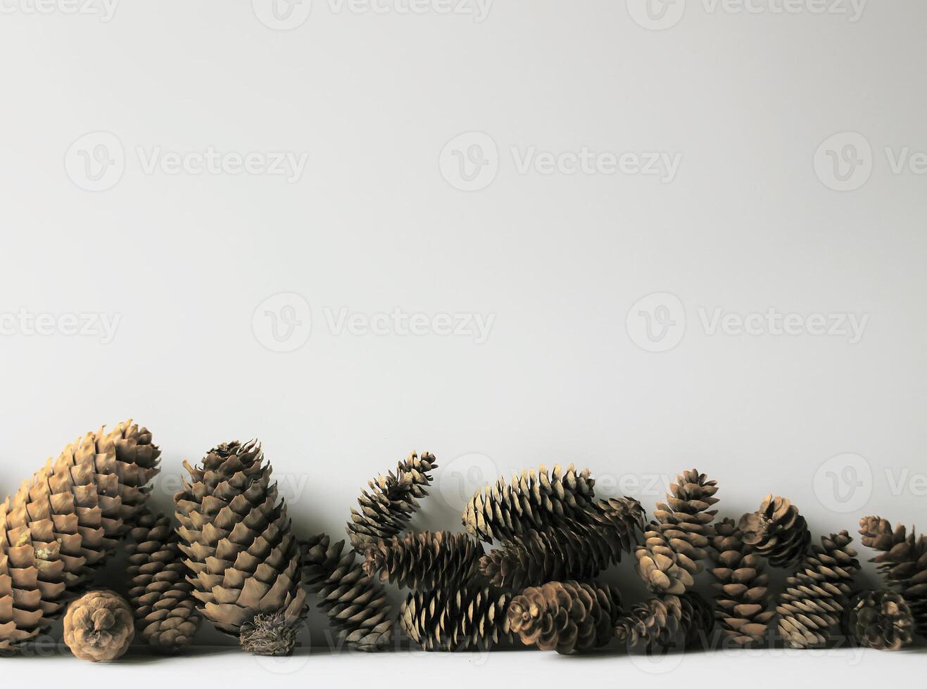 Fir-tree cones and snow. photo