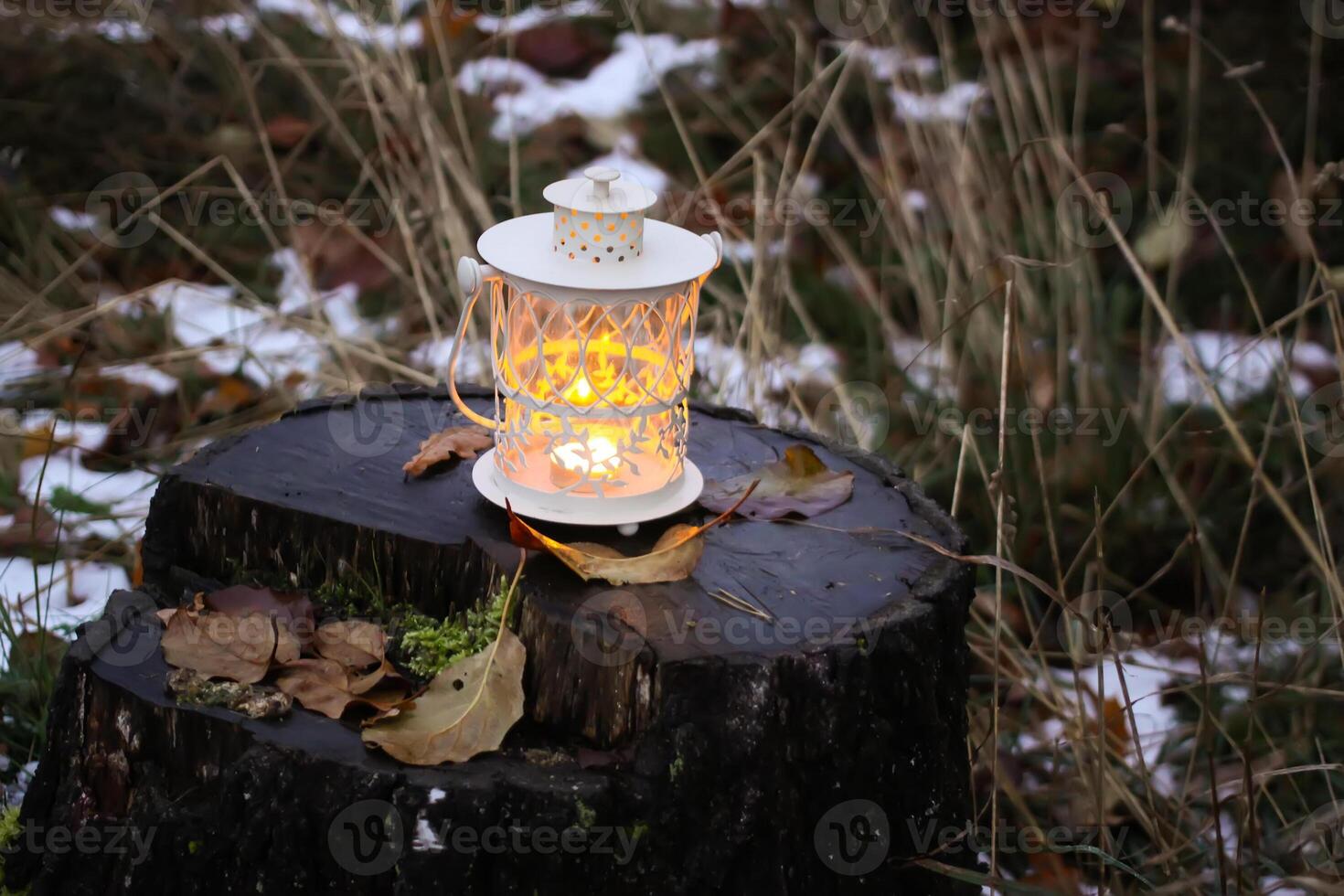 Decorative lantern with burning candle in autumn park at evening. photo