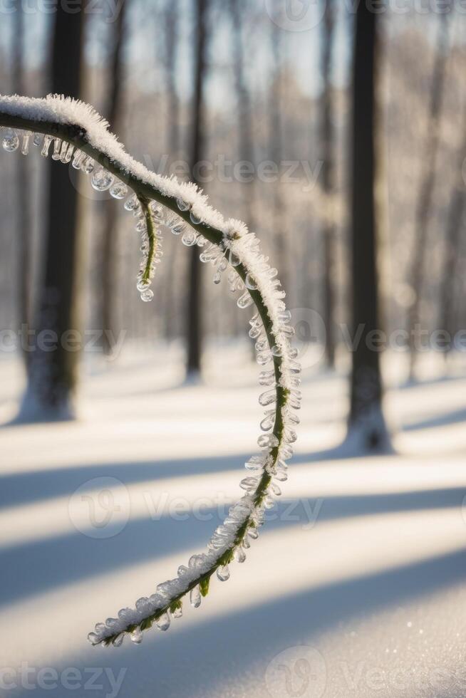 Lush rushing branch dew dense curled buzzing at of high distance forest snowy pollinating flower tall crystal on sun fluttering bright. photo
