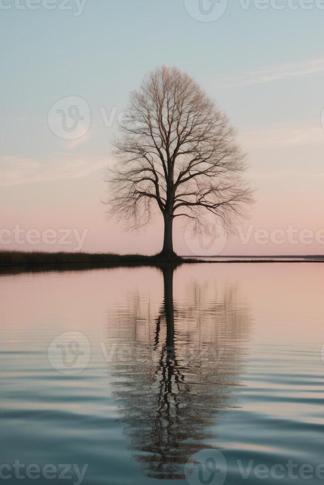 Solitary Tree Reflected in Calm Water at Sunrise. photo