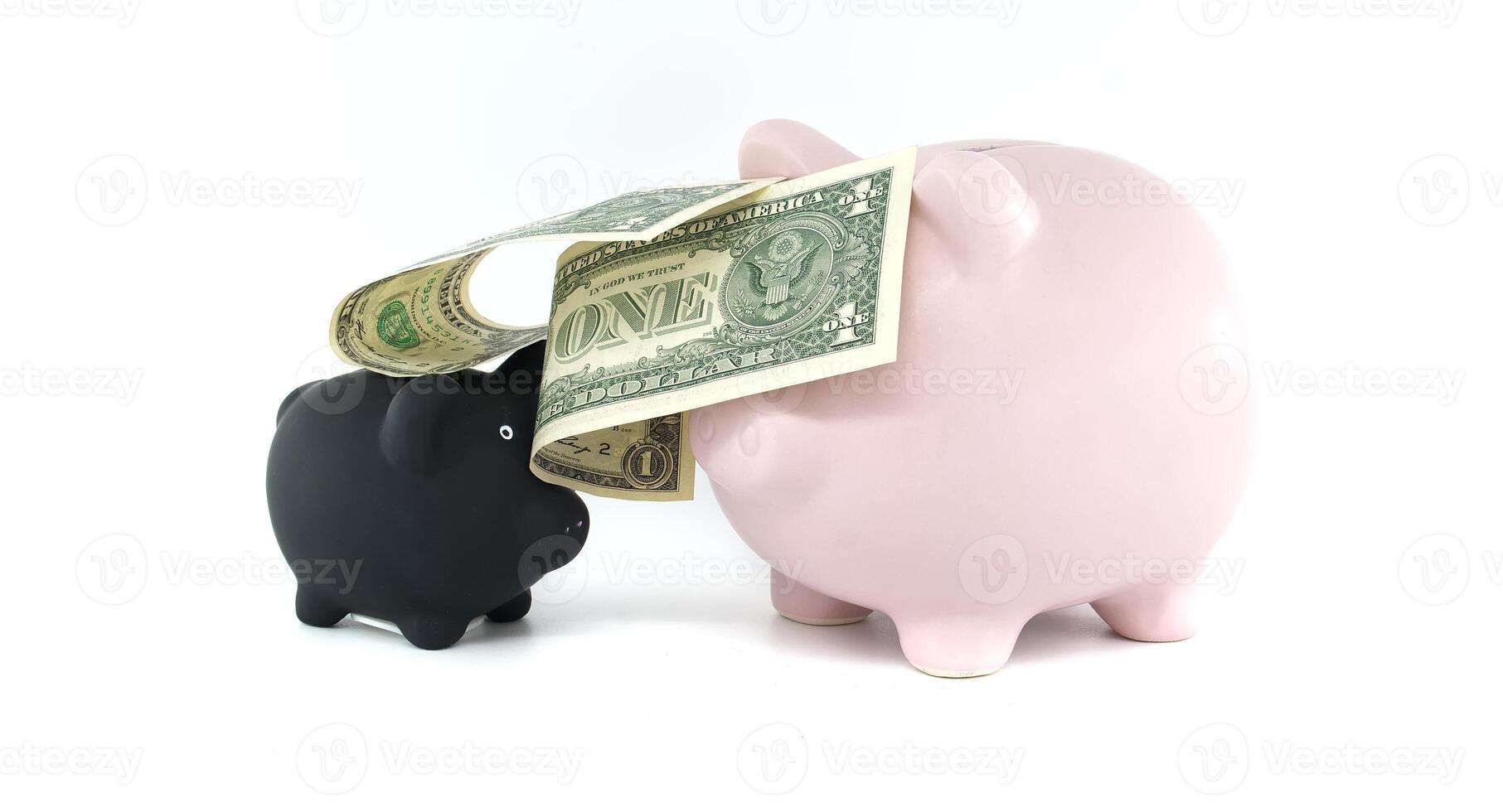 Two Piggy Banks with Dollar Bill Symbolizing Financial Growth and Savings photo