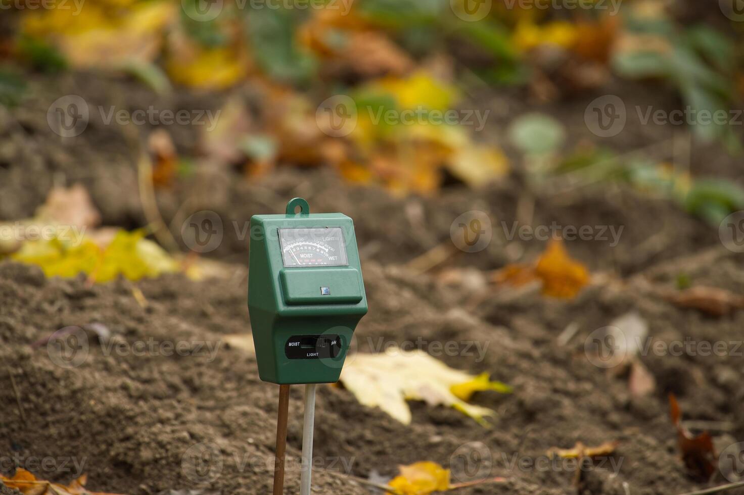Soil moisture meter in garden monitors moisture level amidst autumn leaves and soil photo