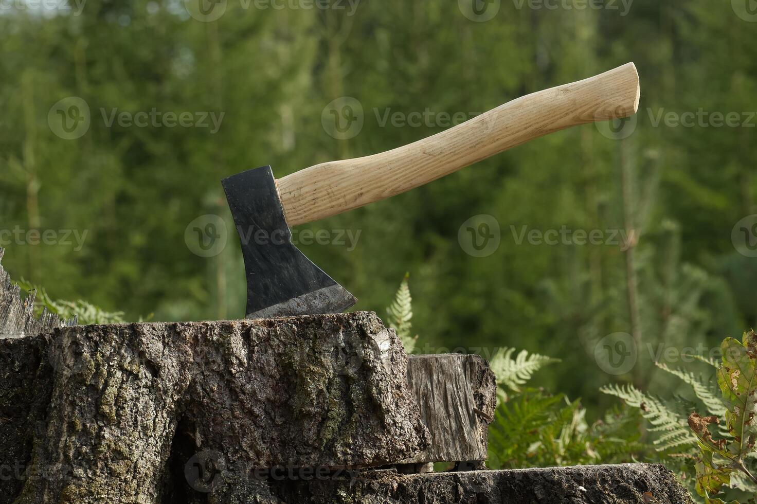Hatchet or axe stuck in a tree stump against forest photo