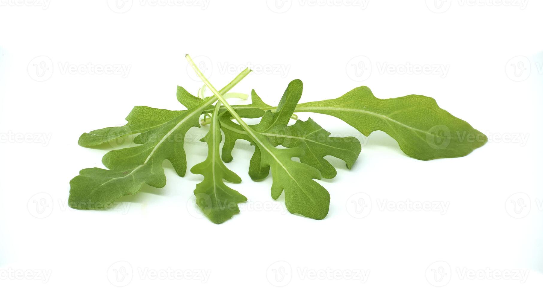 Fresh Arugula Leaves Isolated on White Background in Close-Up photo
