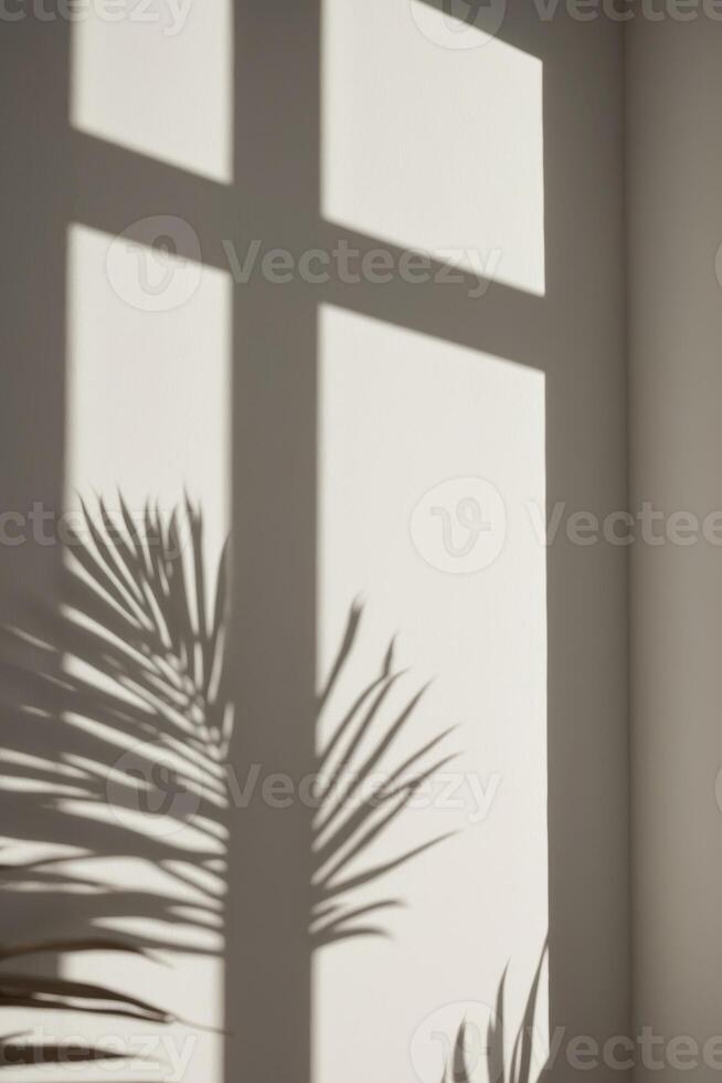 A shadow of a palm tree casts a shadow on a wall photo