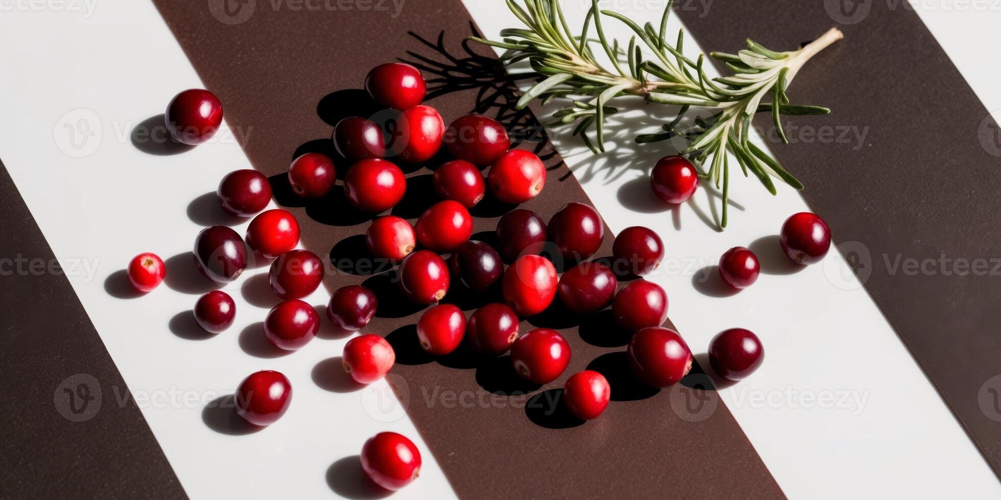 Fresh cranberries with rosemary on a dark background for holiday and culinary themes. photo