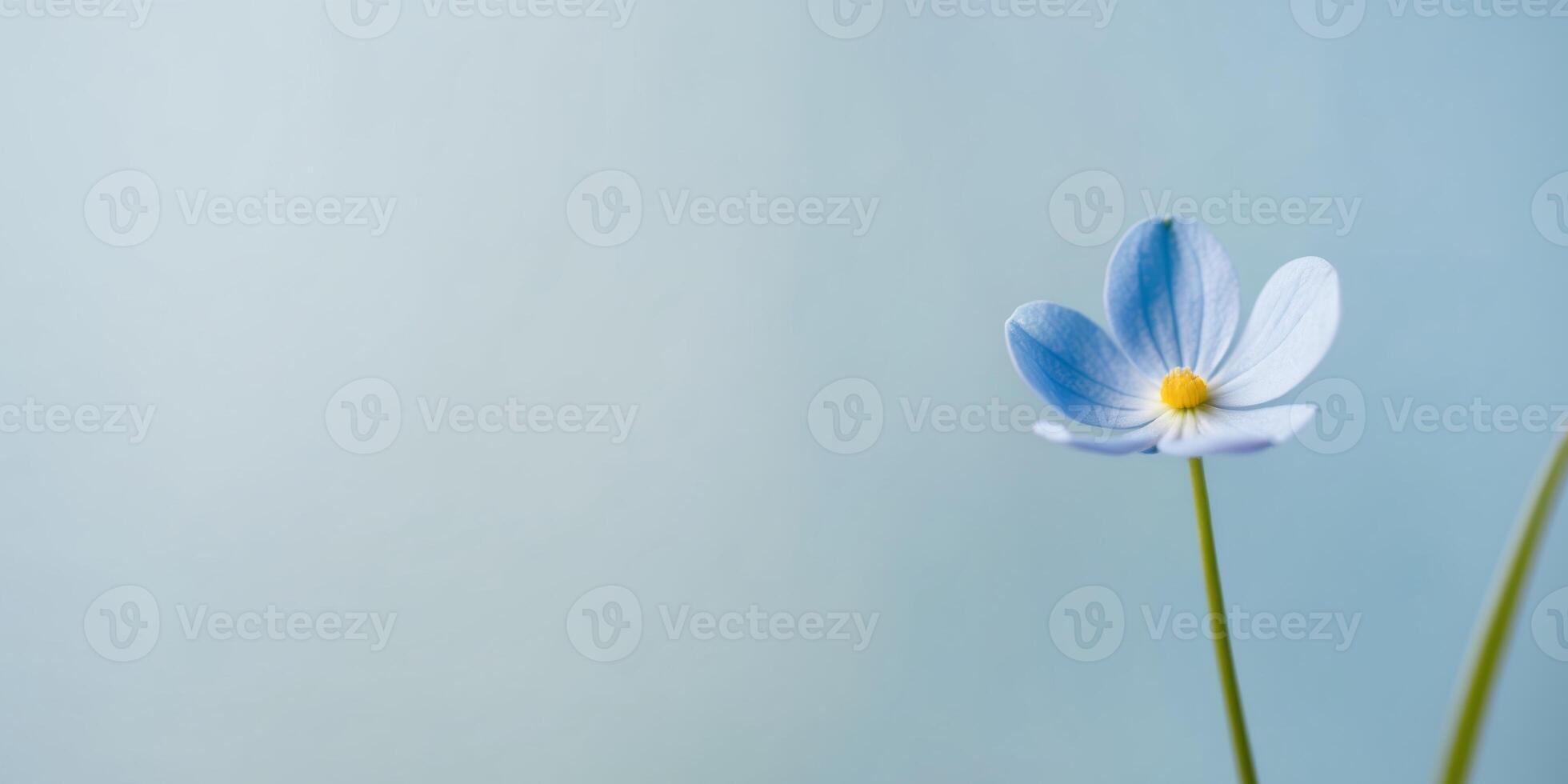 A blue flower with a stem is on a blue background. photo