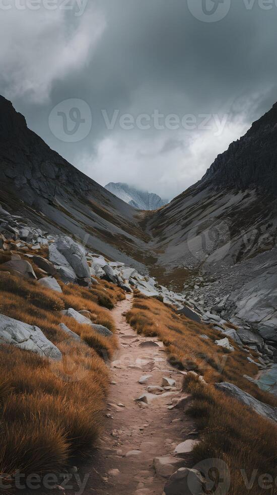 Rugged mountainous landscape with narrow trail, golden grass and boulders flank it Vertical Mobile Wallpaper photo