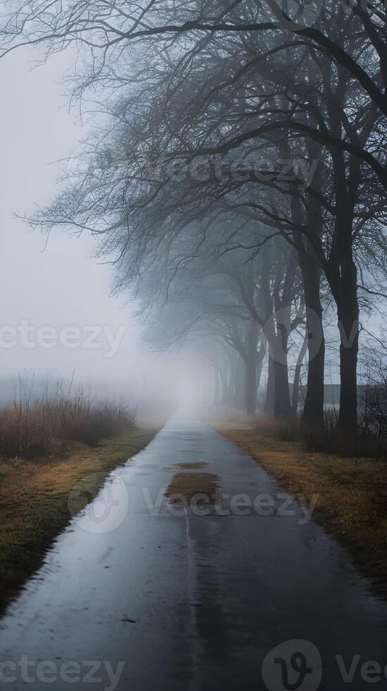 Overcast path with foggy atmosphere evokes tranquil yet mysterious autumn mood Vertical Mobile Wallpaper photo