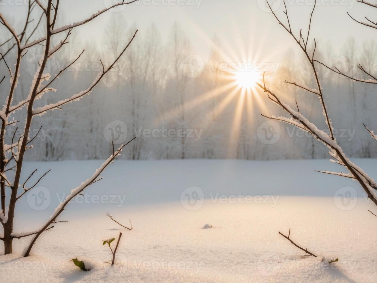 Sunshine reflecting a bright state mind amidst winter scenery. photo