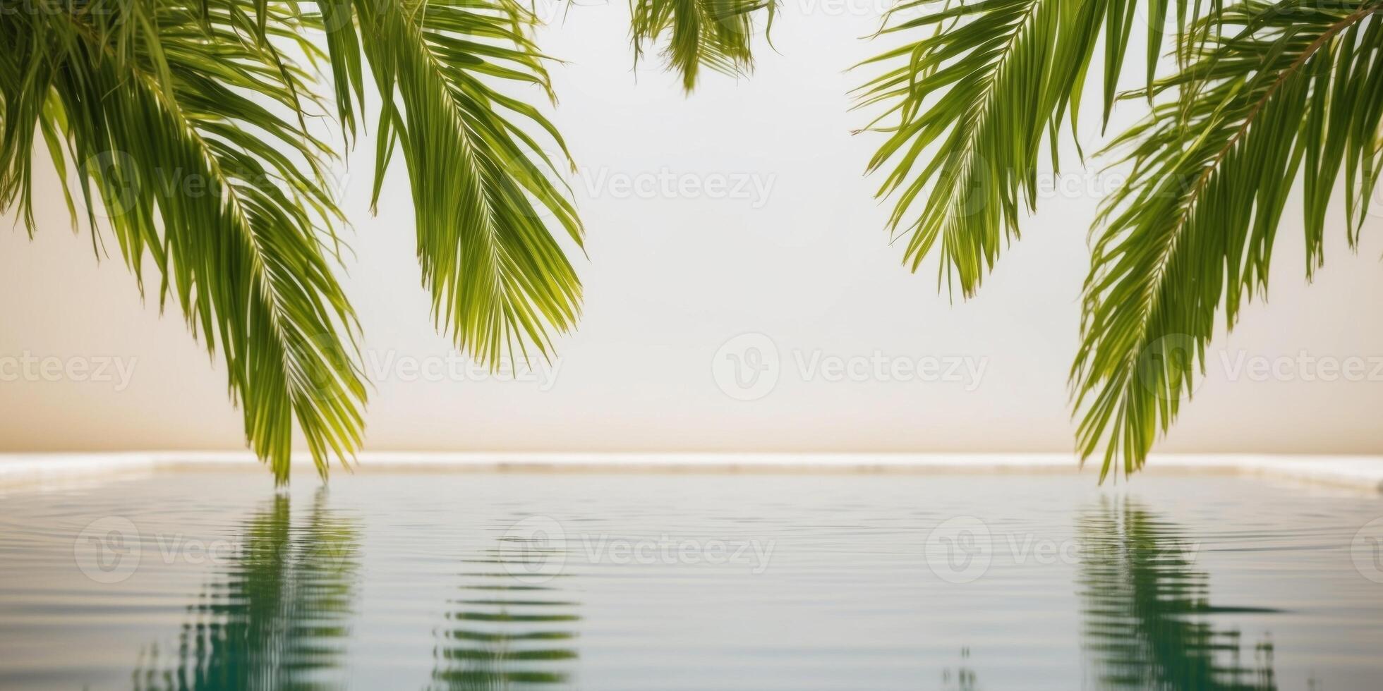 Lush Green Palm Leaves Overlooking a Tranquil Pool. photo