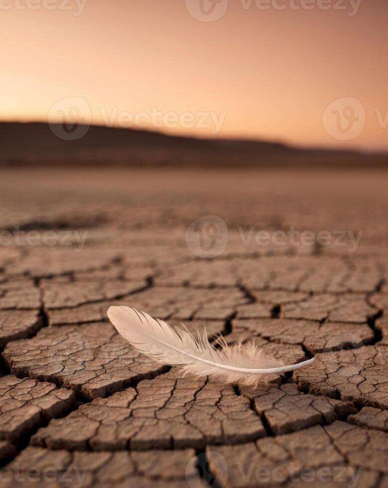 Feather resting on cracked earth during sunset in a desolate landscape showcasing nature's beauty and resilience. photo