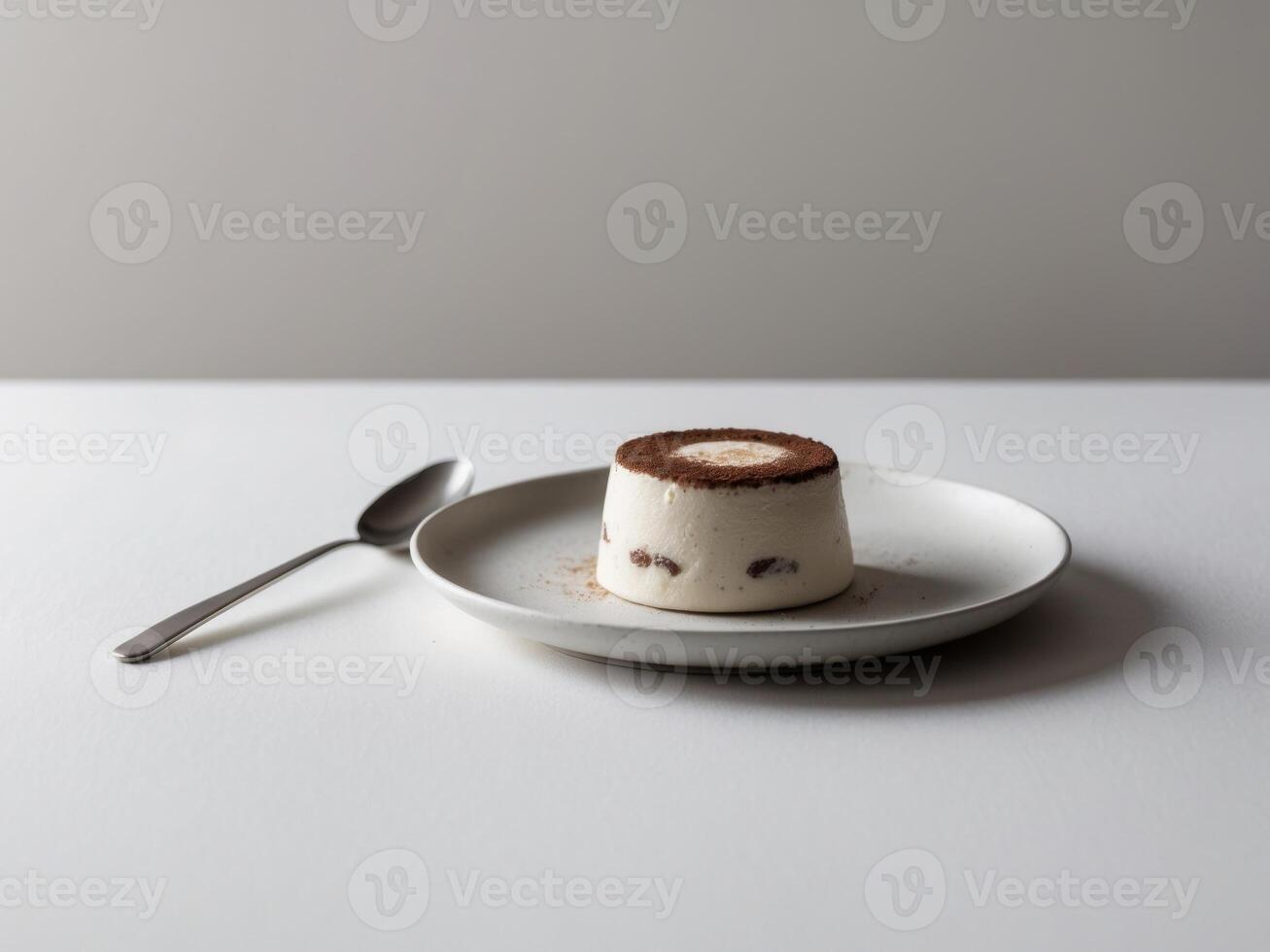 tiramisu dessert on plate with spoon and blank space for text. photo
