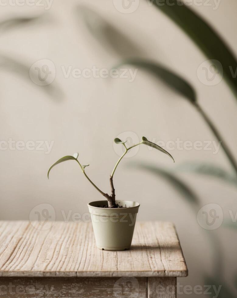 A potted plant sitting on top of a wooden table. photo