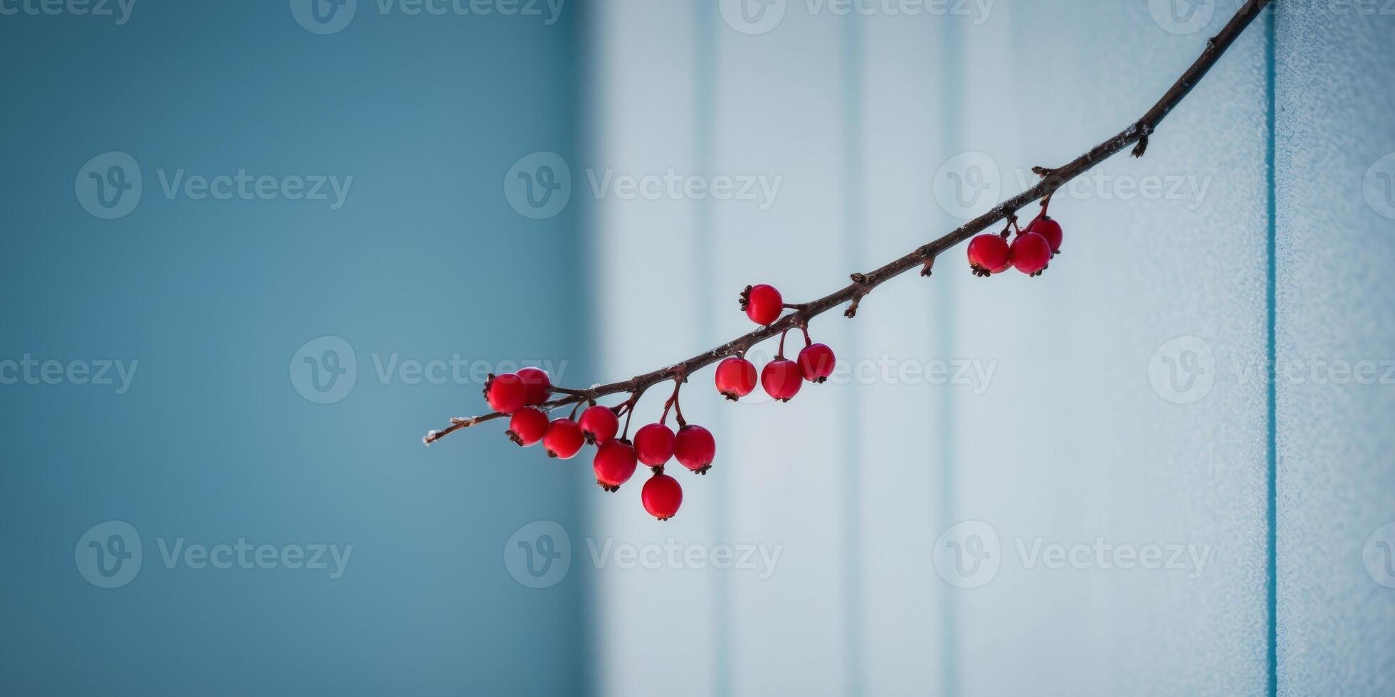 A branch of red berries is frozen and hanging from a blue wall. photo