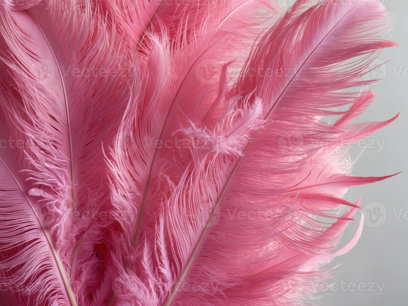 incredible texture of pink feathers overlaying one on one glamorous and fabulous texture. photo