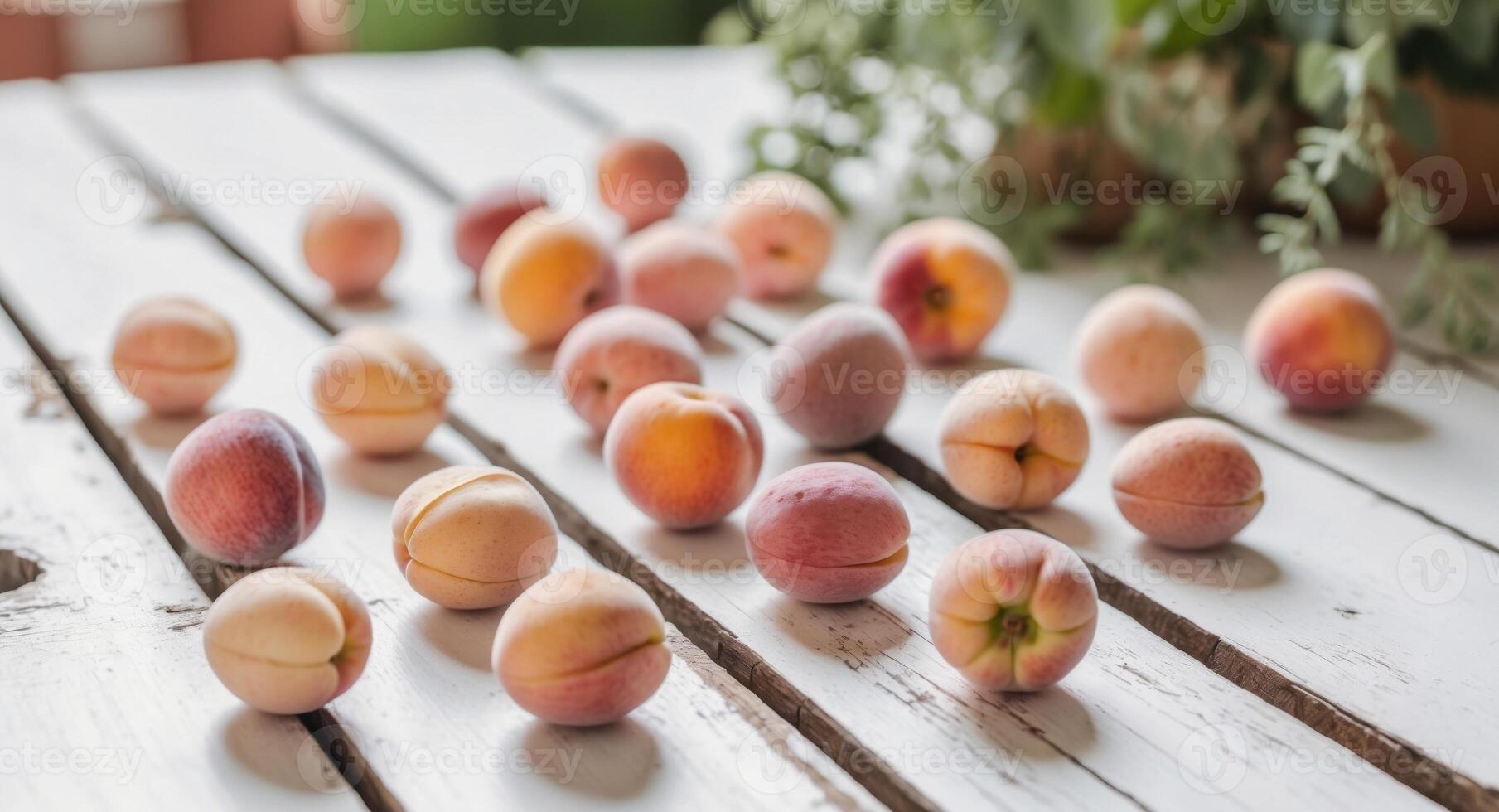 A variation of peach pits on a rustic garden table. photo