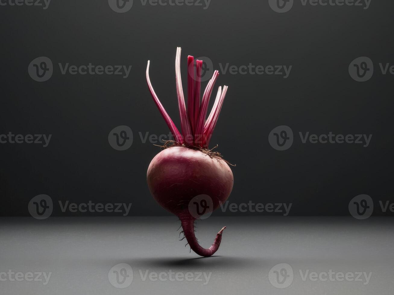 Beetroot hook on black background with copy space for text. photo