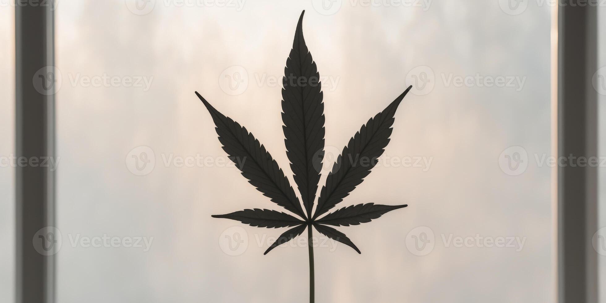 classic cannabis leaf silhouette on a window background. photo