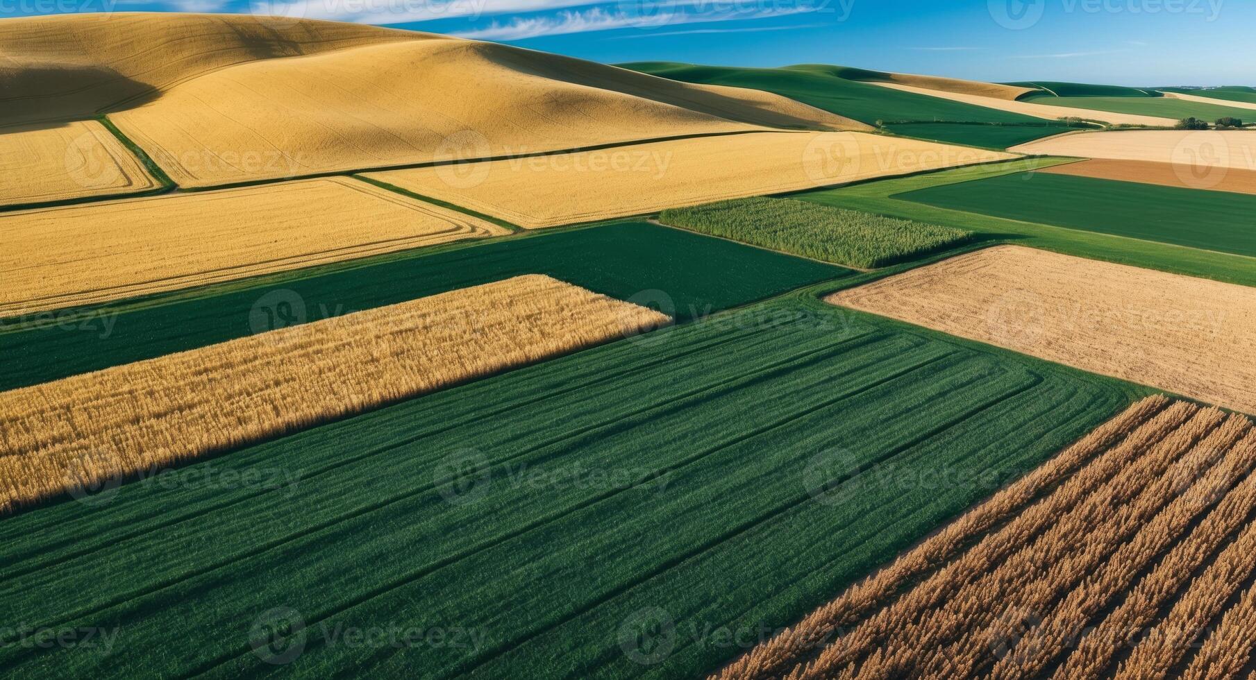 Scenic farmland with patches of different crops aerial. photo