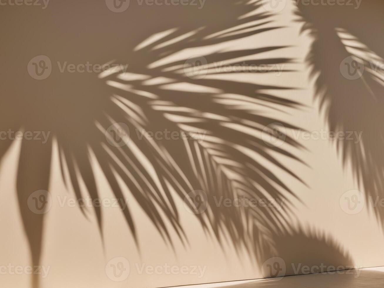 Palm Fronds Shadows on Light Beige Wall Minimal Abstract Background for Product Display and Presentation. photo