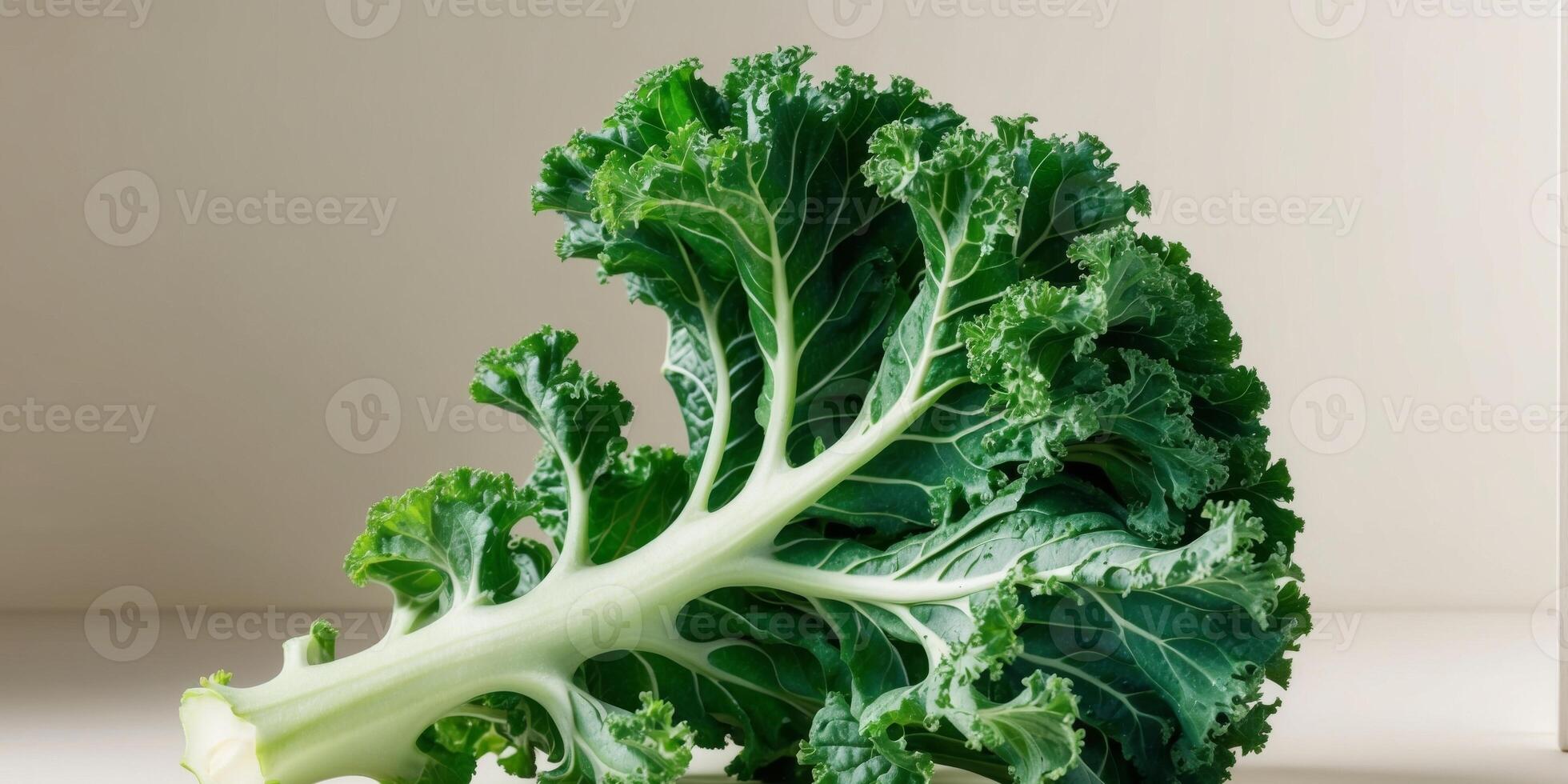 Fresh curly kale leaves with ruffled edges vibrant green color and dewy texture. photo