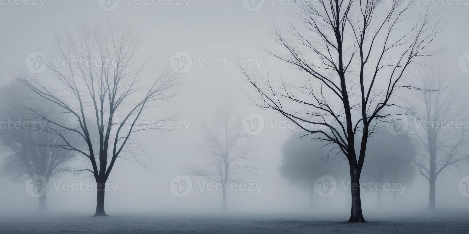 mysterious foggy landscape with bare trees. photo