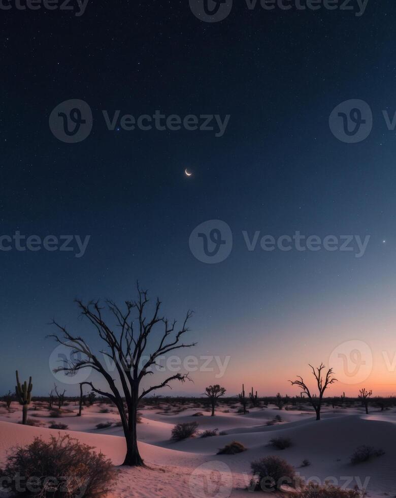 Stunning Desert Landscape Under a Starry Night Sky. photo