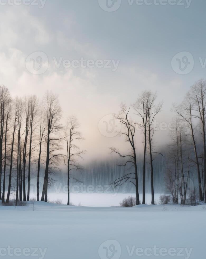 A snowy landscape with trees and a lake in the middle of it. photo
