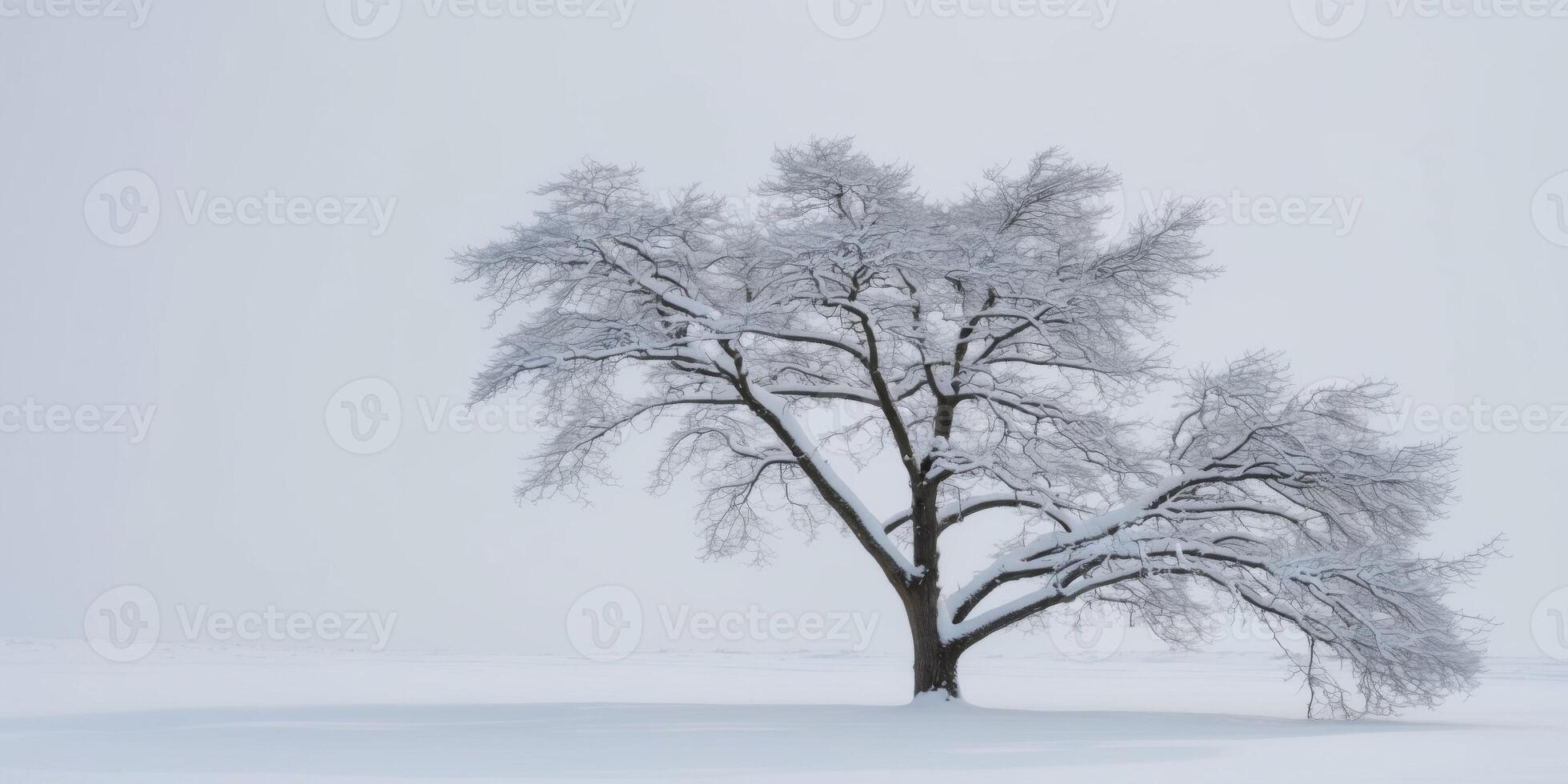 A snowy background with a tree branch covered in snow. photo