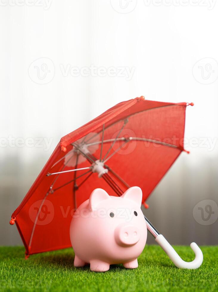 Piggy bank under a red umbrella. Concept of deposit insurance and investment protection. photo