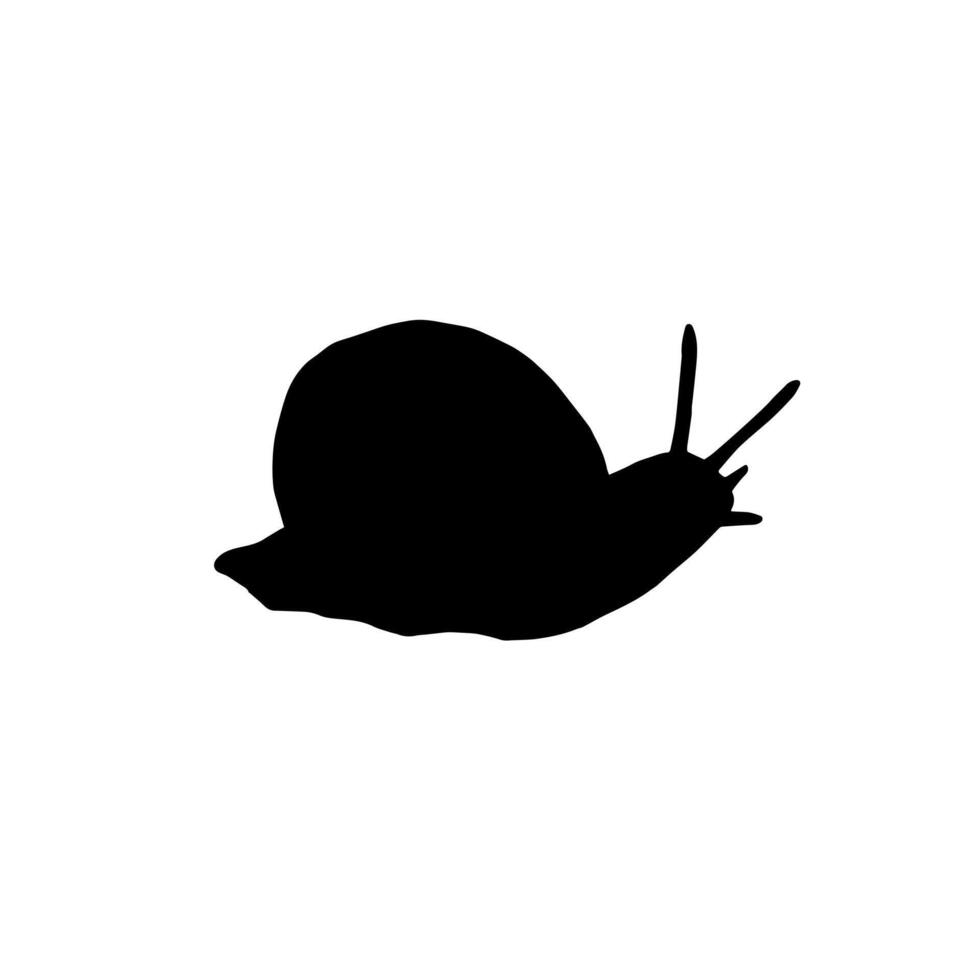 Hand drawn doodle sketch snail vector