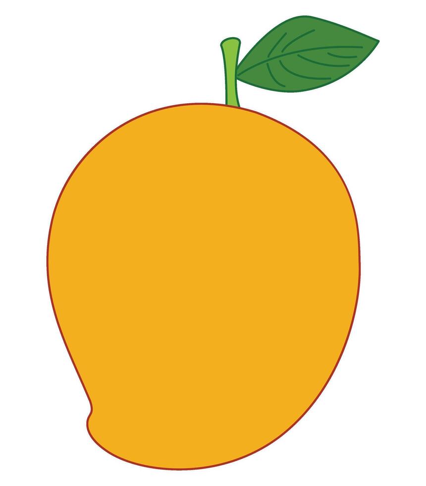 A mango illustration vector