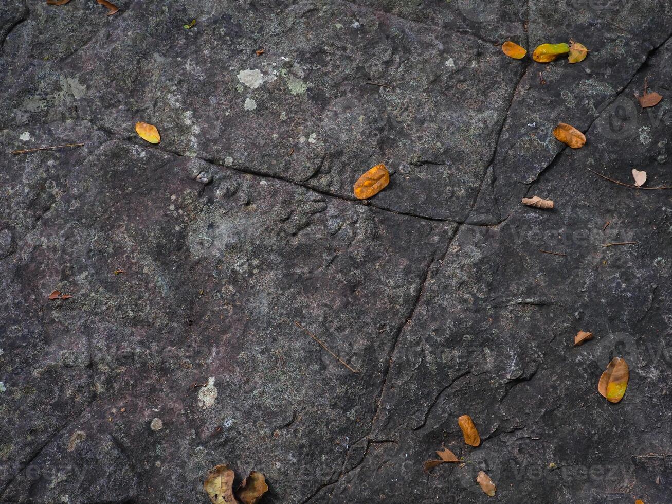 Brown stone texture in the forest for environmental care background. photo