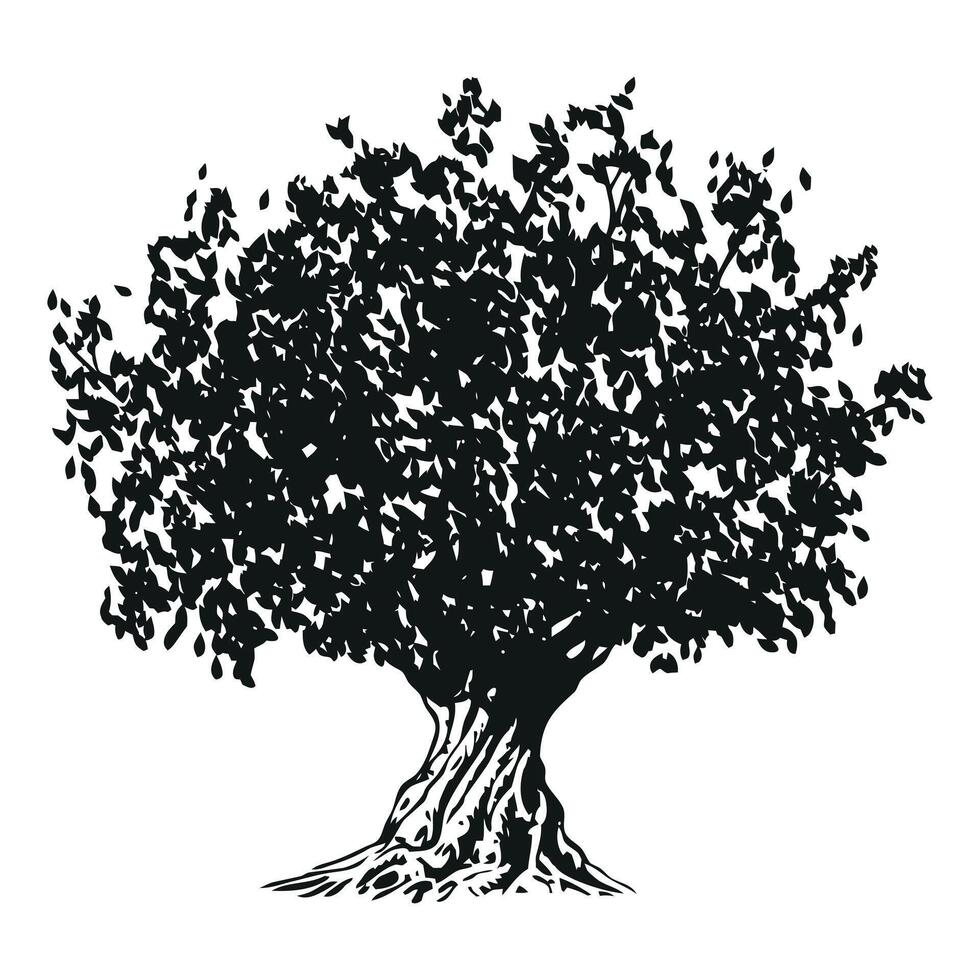 olive tree - black and white drawing illustration on white background vector