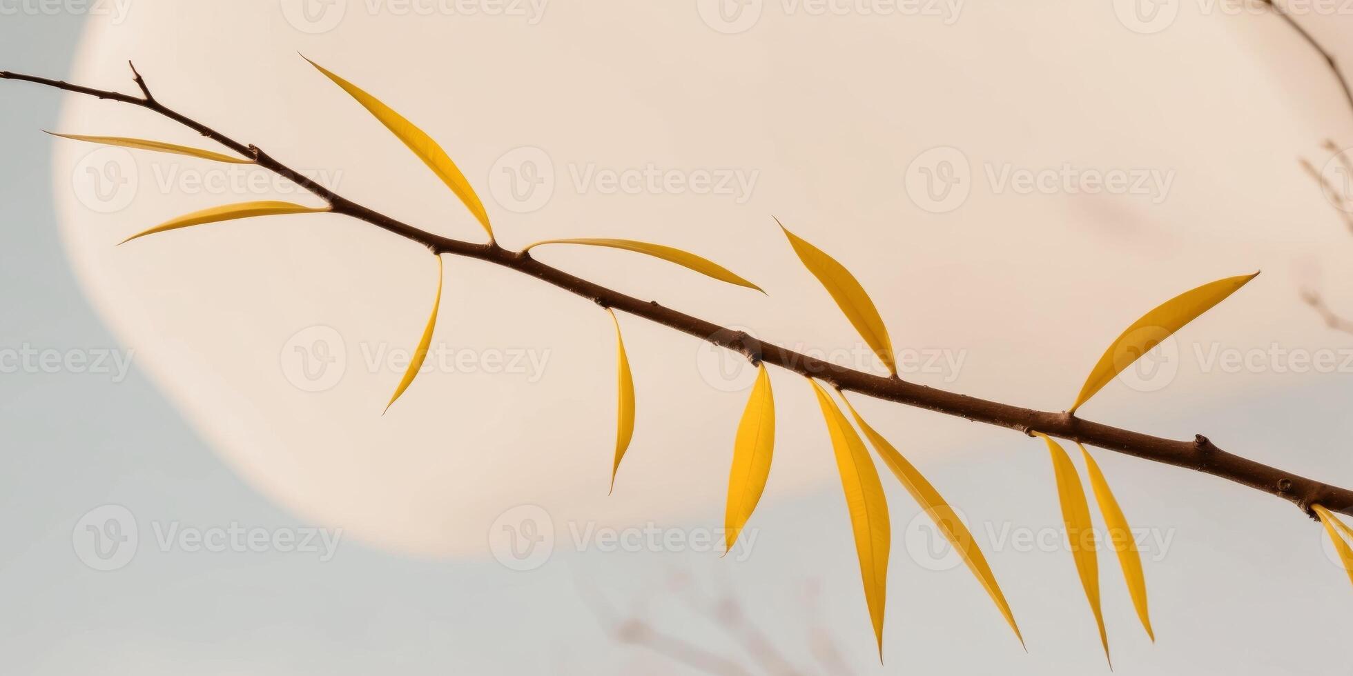 A branch with yellow leaves against a blue sky photo